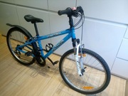 ROWER Author A-Matrix 11'', koła 24''