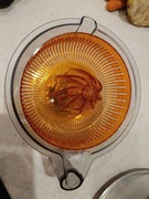 Wyciskarka do cytrusów Bosch mum5 