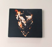 Demon Hunter - There Was a Light Here CD 