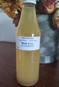 Żywy ocet probiotyczny glistnikowy