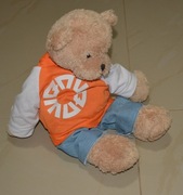 Podaruj Misia 2021 Dorotka podaruj miś maskotka TVN