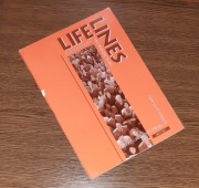 Lifelines elementary workbook Hutchinson 2002 ćwiczenia z angielskiego