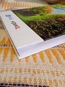 NOWOCZESNE AKWARIUM - Zarzyński Paweł