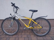 Rower 24" GIANT MTX 240ST