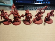 Figurki warhammer komplet 30 szt. + 