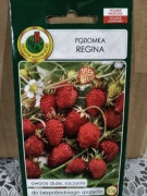 Poziomka "Regina"