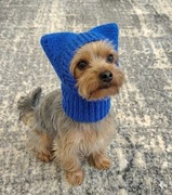 Urocza niebieska czapka dla psa | Kominiarka z uszami |  York / Terrier