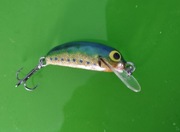 Wobler ANDA na drapeżnika Kiler ok.3,5cm 3g