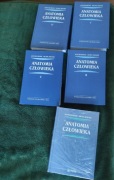 Anatomia człowieka - Bochenek 5 tomów