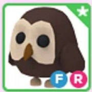 Adopt me OWL FR Roblox