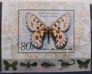 Fauna zwierzęta motyle owady Korea Północna