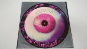 Anekdoten Nucleus winyl 90's picture disc rock progresywny LP 