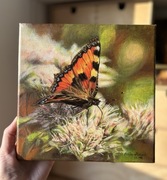 Rusałka pokrzywnik oryginalny obraz, akryl na płótnie, realistyczny motyl