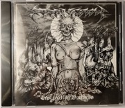 Stormcrow - Enslaved In Darkness