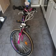 Rower Monteria 24 cale