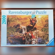 Puzzle 2000 Ravensburger Tygrysy / ułożone