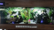 Terrarium 120x60x60 dla węża, jaszczurki,,agamy,
