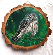 Obraz ręcznie malowany na desce sowa