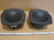 Dwa głośniki NT 50W