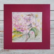 Kwiat Jabłoni- akwarela