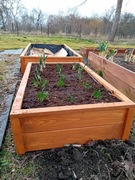 Skrzynia na warzywa/zioła/kwiaty - warzywniak do ogrodu