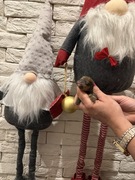 Szpic miniaturowy pomeranian boy