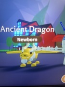 Adopt me ancient dragon (normal)