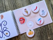 Lamibook zmysły, karty pracy, pomoce dydaktyczne