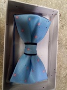 Muszka z poszetką (MAPAM8)