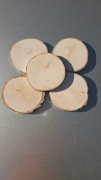 Krążek  brzozowy  14-16cm