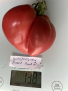 Pomidor Gonsiarovsky House Buls Heart nasiona kolekcjonerskie