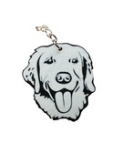 Identyfikator Adresówka dla PSA Labrador tag NFC zawieszka chip lokalizator