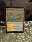MTG: Calciform Pools *(275/289) * TSR *