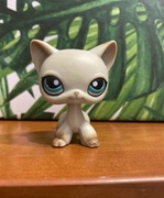 Littlest pet shop shorthair cat kot egipski #391 