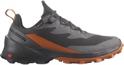 Salomon Trekkingi Cross Over 2 Gore-Tex L47265000 Szary rozm.42 2/3