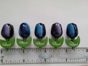 Magnes na lodówkę - 269d. HOLANDIA Mały Tulipan