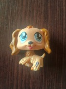 Littlest Pet Shop LPS Cocker spaniel POP unikat oryginał petshop