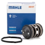 Mahle Tx 163 87D