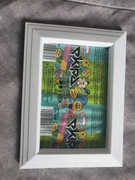 PAPIEREK PO LODACH EKIPY RAMKA,, OBRAZ, DZIEŁO 