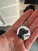 Adresówka dla psa ze zdjęciem | Personalizowana | Akryl | Imię + telefon