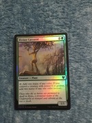 Ilysian Caryatid Foil