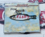Scooter-How much is the fish?