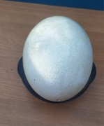 Jajo wydmuszka strusie