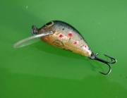 Wobler ANDA na Kleń Jaź Okoń Szczupak itp. Sprawdzony Kiler ok.3,5cm 2g