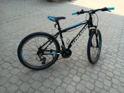 Kross Hexagon 1.0
