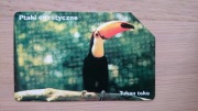 1041 Ptaki egzotyczne (1/10) - tukan