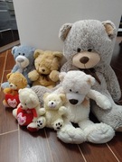 Kolekcja pluszowych miśków 