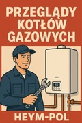 Serwis, przegląd kotłów gazowych