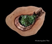 Lustro kolekcja Jawor 52/39/4,5 cm DIY drewno natura biophilic prezent