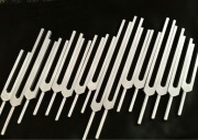 Kamertony organy - Tuning Forks organs- Made in DE: naturalne leczenie